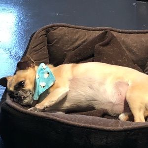 Meet your Posher, Brenda